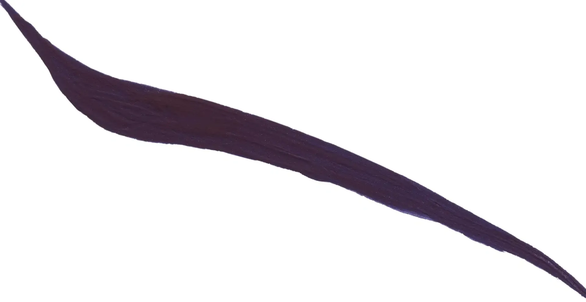 ANASTASIA BEVERLY HILLS Silmämeikit<Liquid Eyeliner silmänrajauskynä 2,4 ml