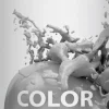 Biozell Hiusvärit<Color Tech Sävyttävä shampoo 200ml Silver