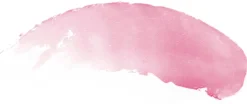 Burt's Bees Kasvojenhoito<Tinted Lip Balm Pink Blossom värillinen huulirasva 4,25 g