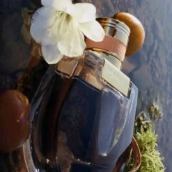Chloé Hajuvedet<Nomade EdP tuoksu 30 ml