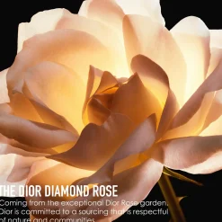 DIOR Kasvojenhoito<Prestige La Crème Texture Fine kasvovoide 50 ml