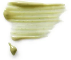 Dr. Hauschka Hiukset|Hiustenhoito<Dr.Hauschka kurpitsansiemen naamio hiuspohjalle 25ml