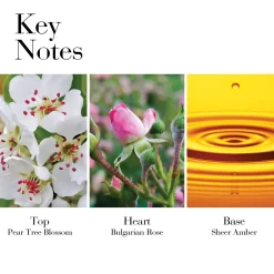 Elizabeth Arden Hajuvedet<White Tea Wild Rose EdT tuoksu 50 ml