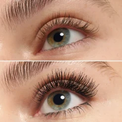 Essence Silmämeikit<LASHES TO IMPRESS 07 bundled single lashes 20 st