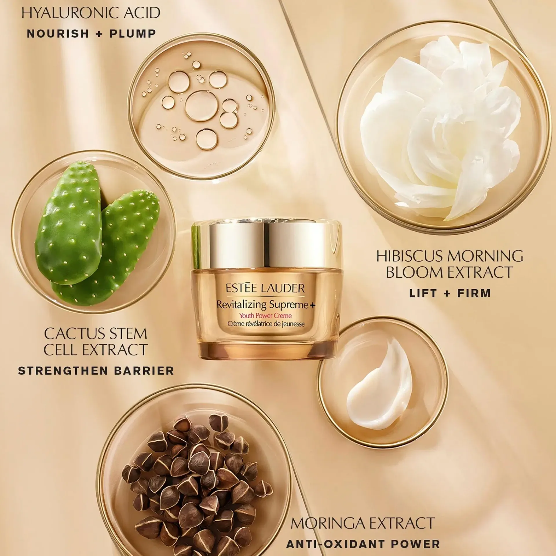 Estée Lauder Kasvojenhoito<Revitalizing Supreme+ Youth Power Creme päivävoide 30 ml