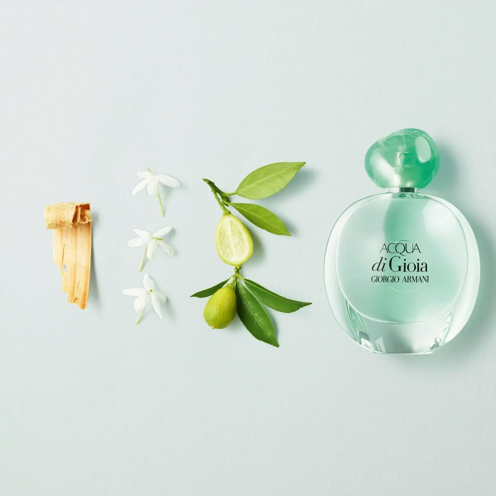 Armani Hajuvedet<Giorgio Acqua di Gioia EdP tuoksu 50 ml