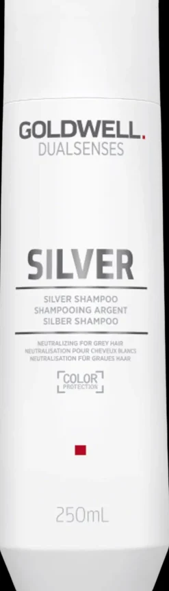 Goldwell Hiustenhoito|Shampoot<Dualsenses Silver Shampoo hopeashampoo 250 ml