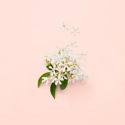 Gucci Hajuvedet<Bloom EdP tuoksu 30 ml