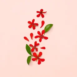 Gucci Hajuvedet<Bloom EdP tuoksu 30 ml