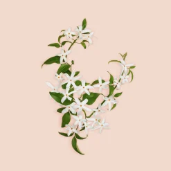 Gucci Hajuvedet<Bloom Parfum tuoksu 30 ml