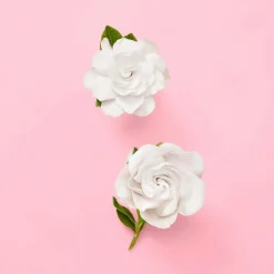 Gucci Hajuvedet<Flora Gorgeous Gardenia EdP tuoksu 30 ml