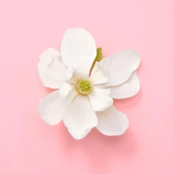 Gucci Hajuvedet<Flora Gorgeous Magnolia EdP tuoksu 30 ml