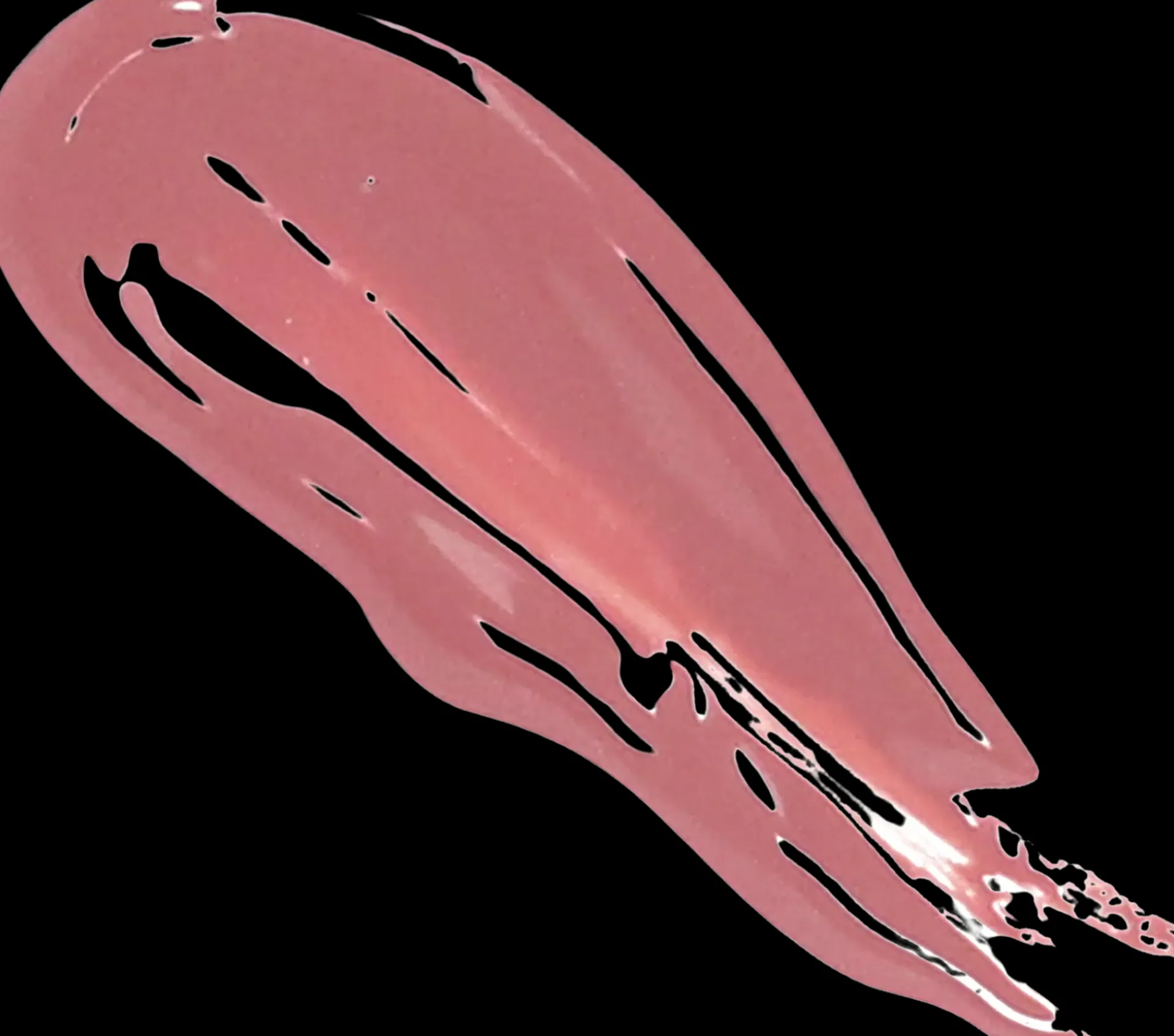 KimChi Chic Beauty Huulimeikit<High Key Gloss huulikiilto 3,5 g