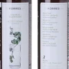Korres Hiustenhoito|Shampoot<Aloe & Dittany Shampoo 200 ml