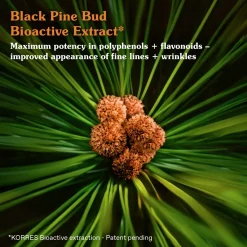 Korres Kasvojenhoito<Black Pine Primus Elasticity Boost Day Cream kosteusvoide 40 ml