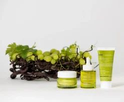 Korres Kasvojenhoito<Santorini Grape Poreless Skin Cream geelivoide 40ml