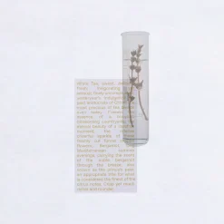 Korres Hajuvedet<White Tea Eau de Toilette 100ml