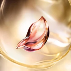 Lancôme Kasvojenhoito<Absolue Soft Cream päivävoide 60 ml