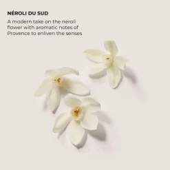 Laura Mercier Hajuvedet<Eau de Parfum Néroli du Sud 50 ml -tuoksu
