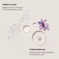 Laura Mercier Vartalonhoito<Serum Body Cream Almond Coconut vartalovoide 200 ml