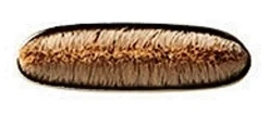 Mac Cosmetics Meikkisiveltimet Ja -Välineet<MAC Flat Definer Brush 212 sivellin