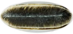 Mac Cosmetics Meikkisiveltimet Ja -Välineet<MAC Foundation Brush 190 sivellin