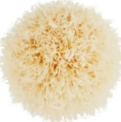 Mac Cosmetics Meikkisiveltimet Ja -Välineet<MAC Mini Tapered Blendi Brush 221s sivellin