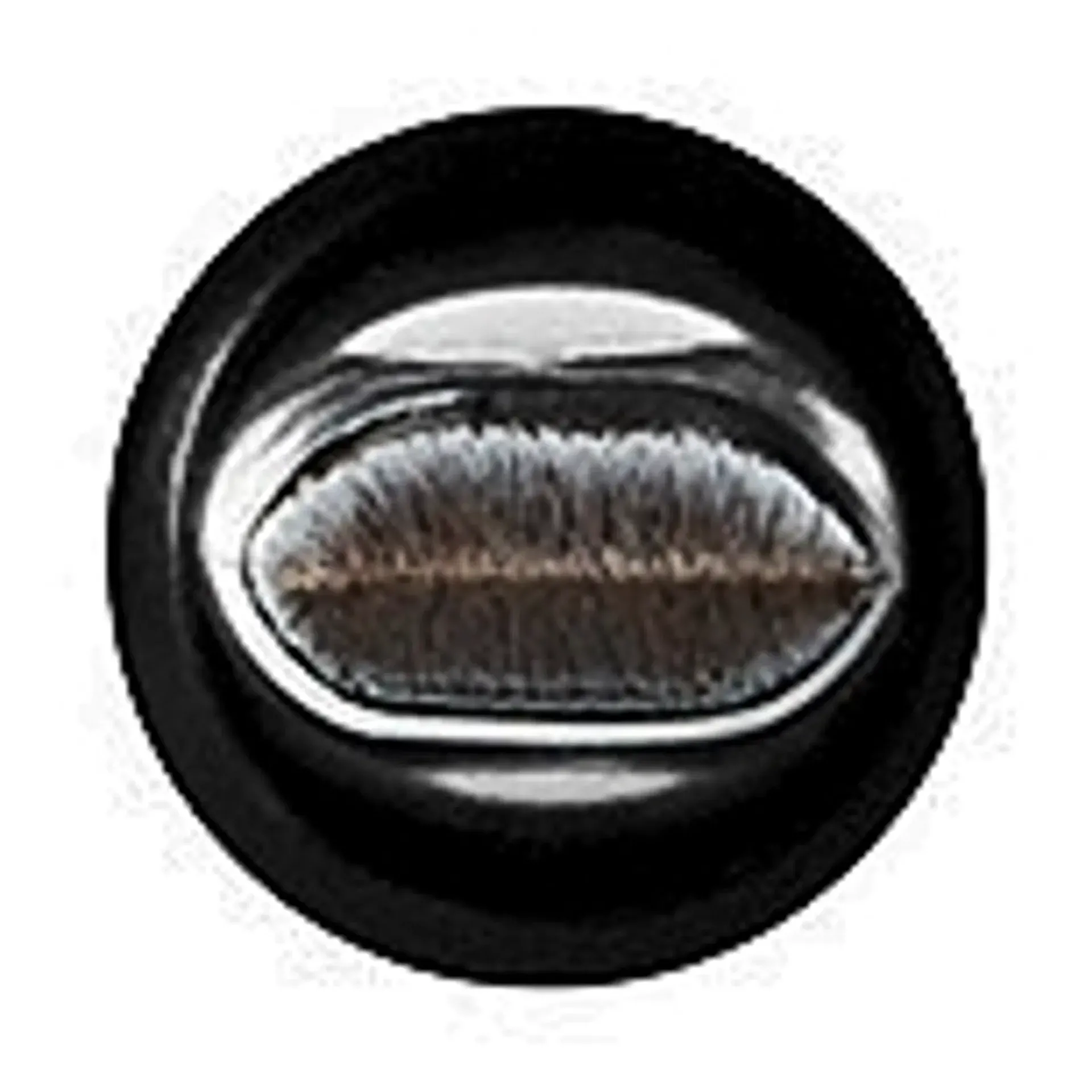Mac Cosmetics Meikkisiveltimet Ja -Välineet<MAC Retractable Lip Brush 318 sivellin