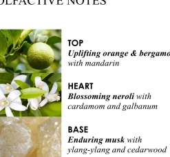 Molton Brown Hajuvedet|Huonetuoksut<Orange & Bergamot Aroma Reeds tuoksutikut 150 ml