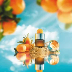 Molton Brown Hajuvedet<Sunlit Clementine & Vetiver EdP Travel Case Refill täyttöpakkaus 7,5 ml