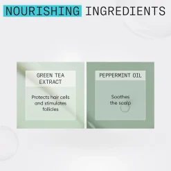Nioxin Hiustenhoito<System 3 Conditioner hoitoaine 300 ml
