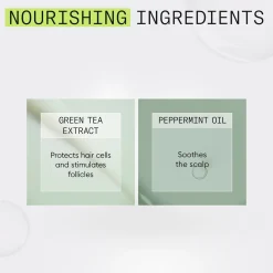 Nioxin Hiustenhoito<System 2 Conditioner hoitoaine 300 ml