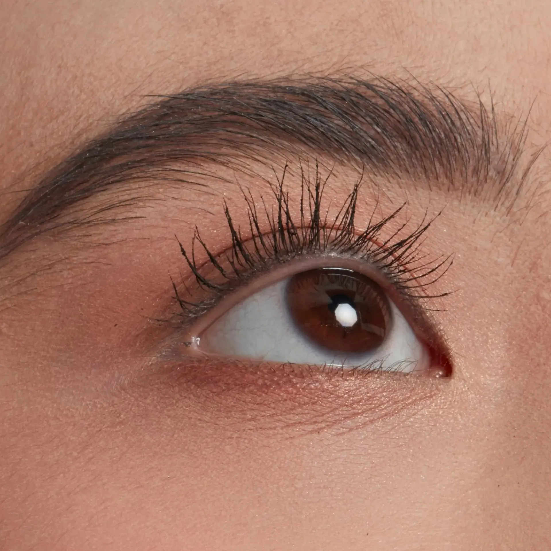 NYX Professional Makeup Silmämeikit<On The Rise ripsiseerumi 10 ml