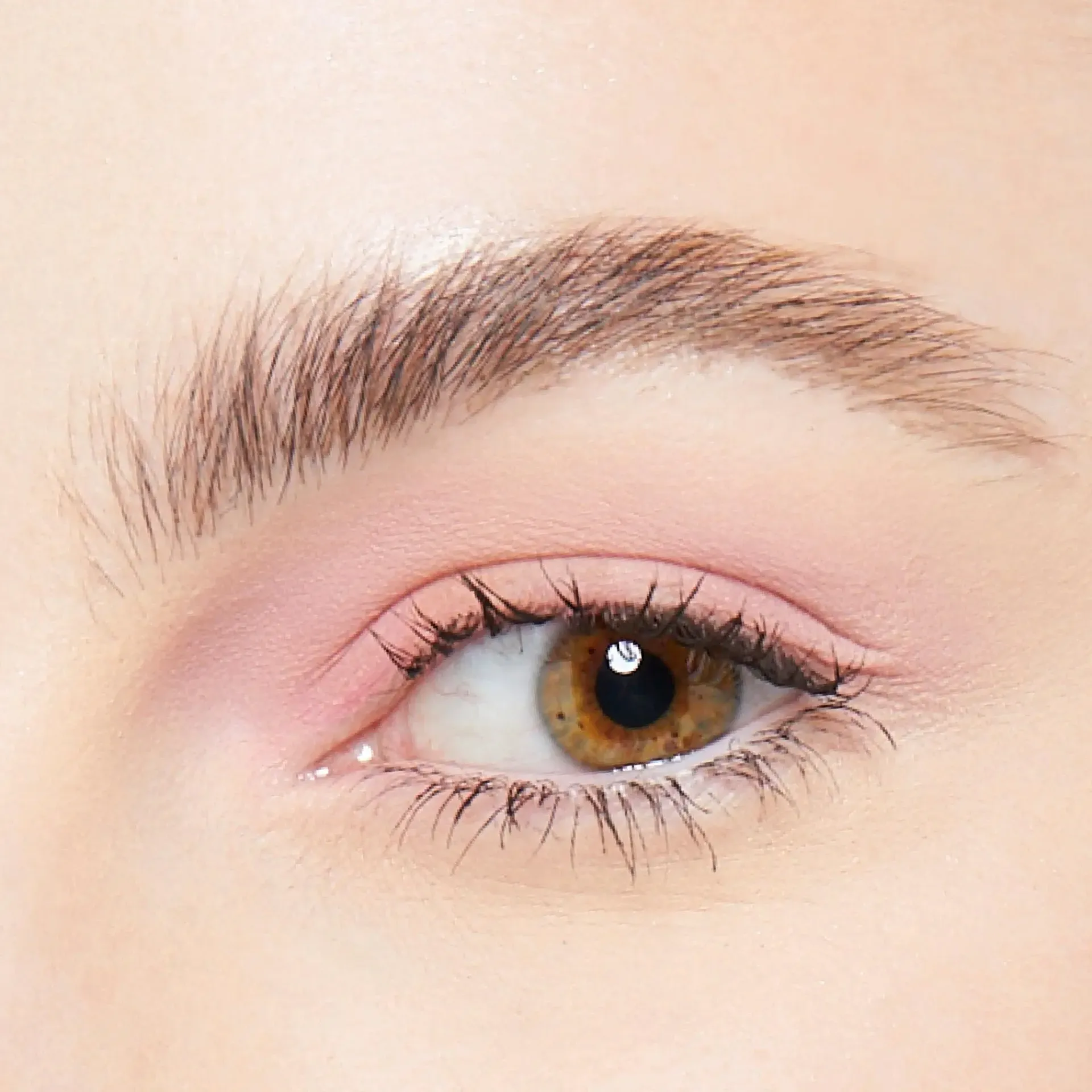 NYX Professional Makeup Silmämeikit<The Brow Glue kulmageeli 5 g
