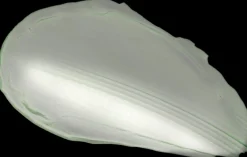 SKIN1004 Korealainen Ihonhoito|Kasvojenhoito<Madagascar Centella Tea-Trica Bha Foam puhdistusvaahto 125 ml